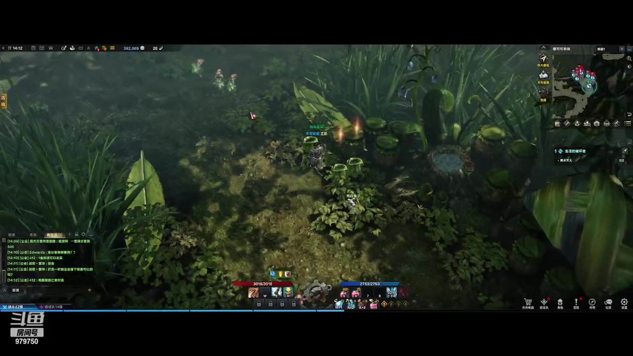 【2023-7-21 13点场】三凯1986:从头开始尝鲜