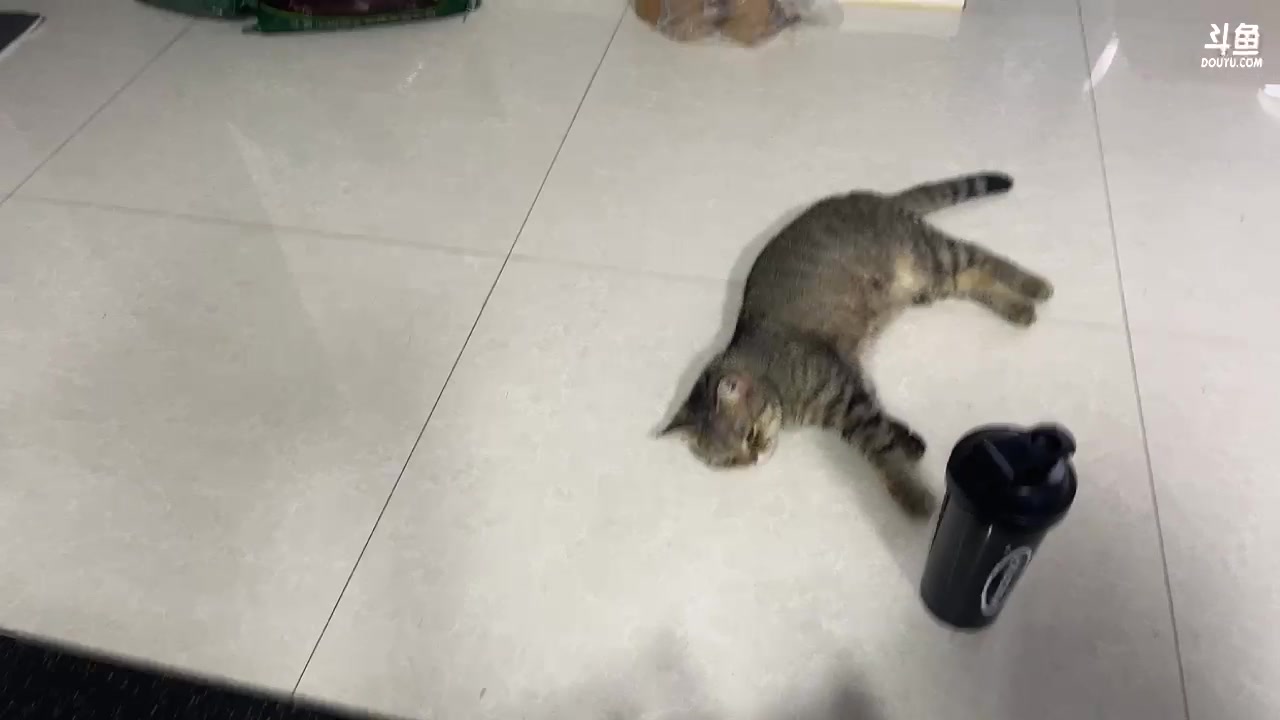 【2023-07-22 17点场】驴酱的冯雨大王：爸妈来探班，稍等片刻