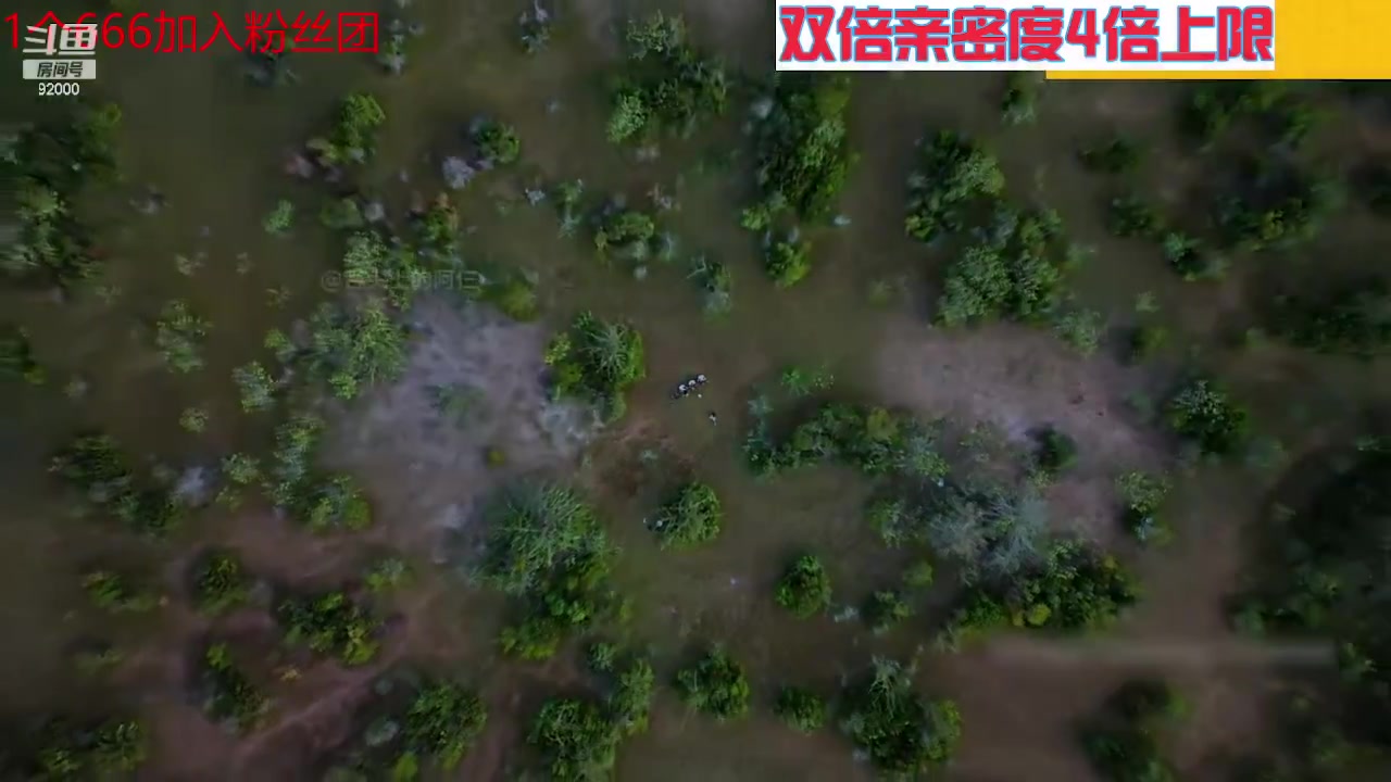 【2023-07-23 02点场】呆妹儿小霸王：【钻石4倍】一起see