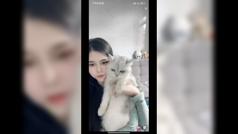 美女抱着猫咪直播，好可爱啊
