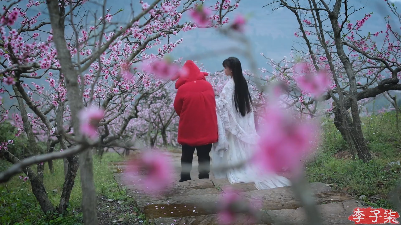 【美食】李子柒liziqi的精彩时刻 20230724 08点场