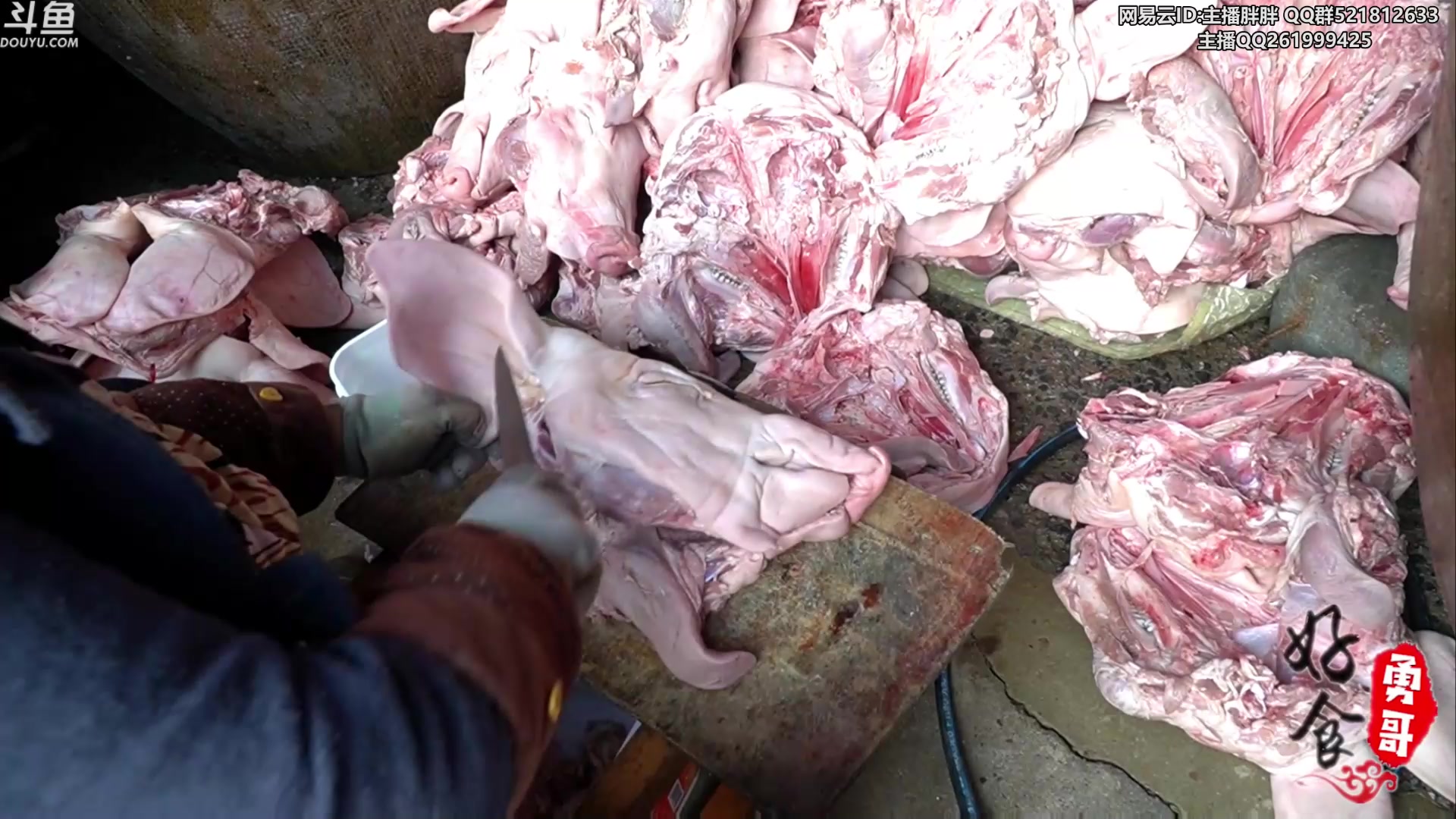 【2023-07-24 00点场】胖胖灬：胖胖OB：WBG强啊，EDGVS滔博