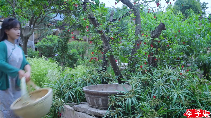 【美食】李子柒liziqi的精彩时刻 20230725 10点场