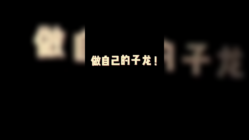 做自己的子龙