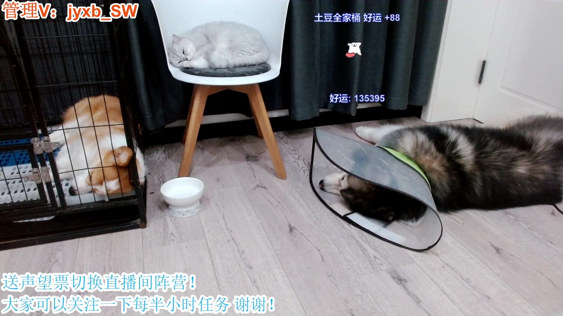 【2023-07-25 15点场】A趣趣趣趣：身体不适21点后来！