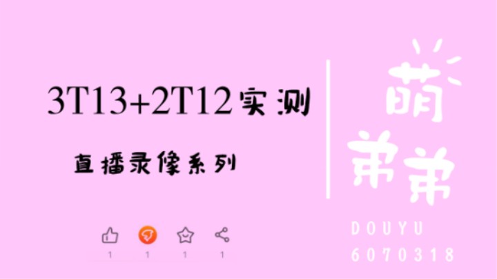 3T13+2T12实测