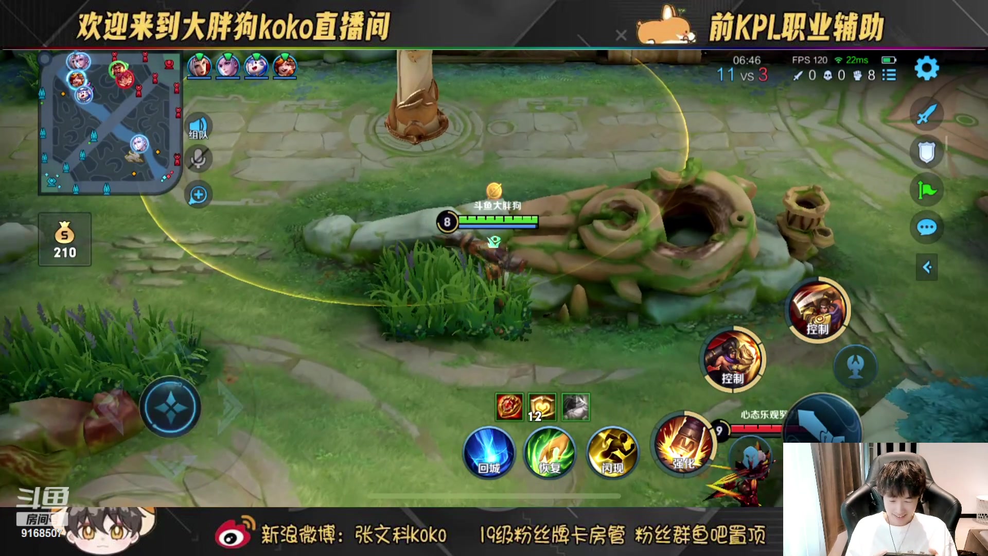 【2023-07-26 14点场】大胖狗koko：（101段辅助） 国服苏烈把把C