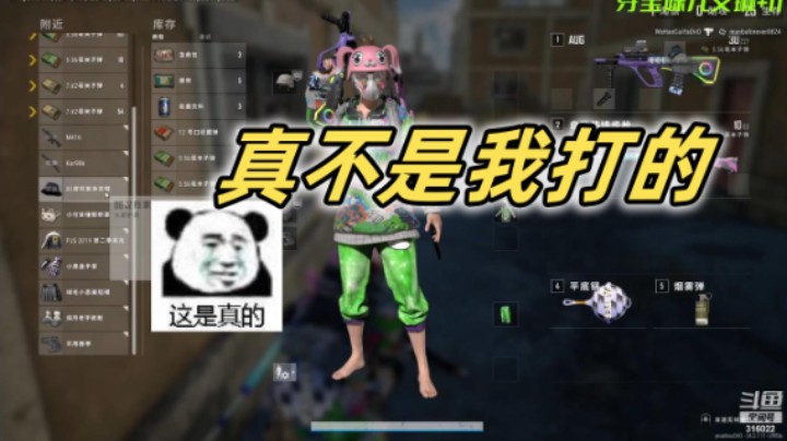 真不是我打的