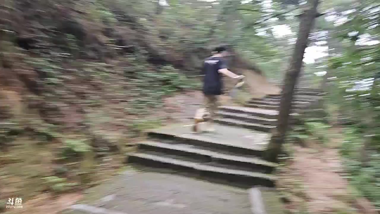 【2023-07-25 16点场】蓝战非OvO：带仓鼠爬天柱山～环游第128天