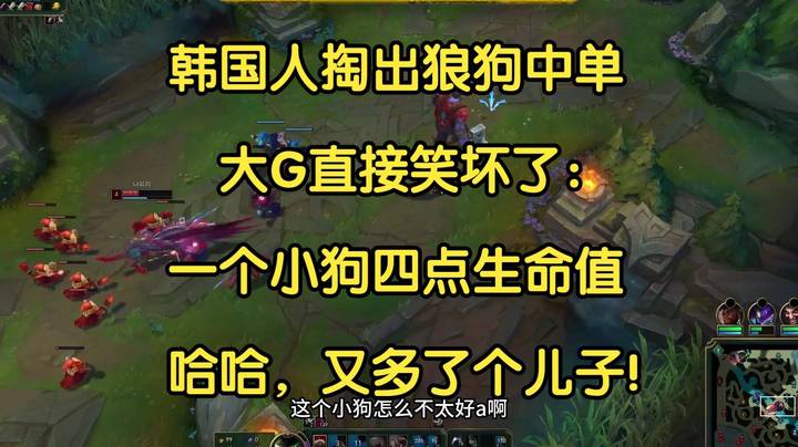 韩国人掏出狼狗中单，大G直接笑坏了：一个小狗四点生命值，又多了个儿子！