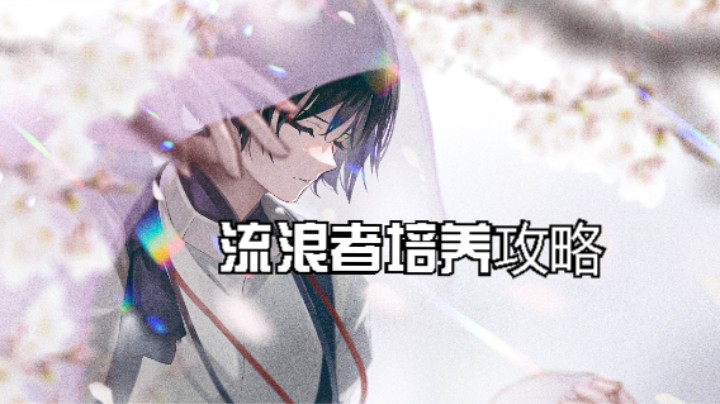 3分钟了解流浪者的武器圣遗物以及配队搭配
