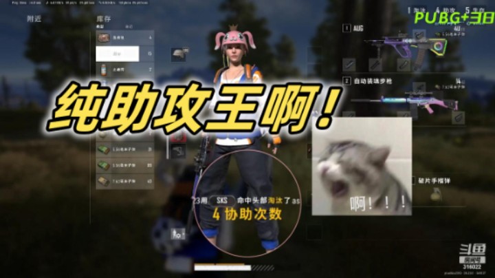纯纯助攻王