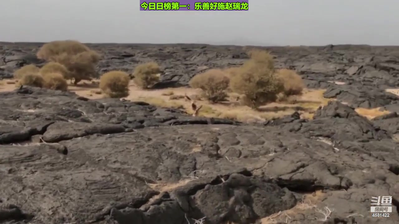 【2023-07-27 22点场】迷人的卿姐姐i：双倍亲密度+四倍亲密度上限，~