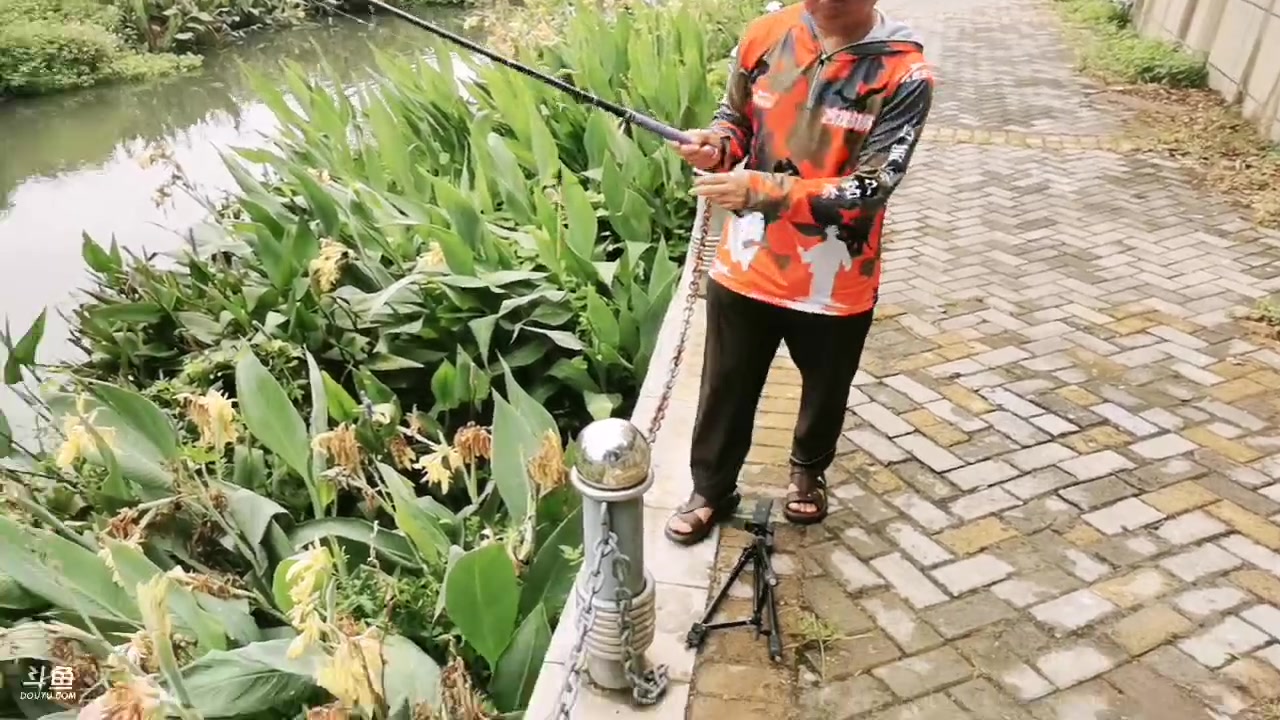 【2023-07-29 13点场】中华户外钓鱼：深圳河里好多鱼
