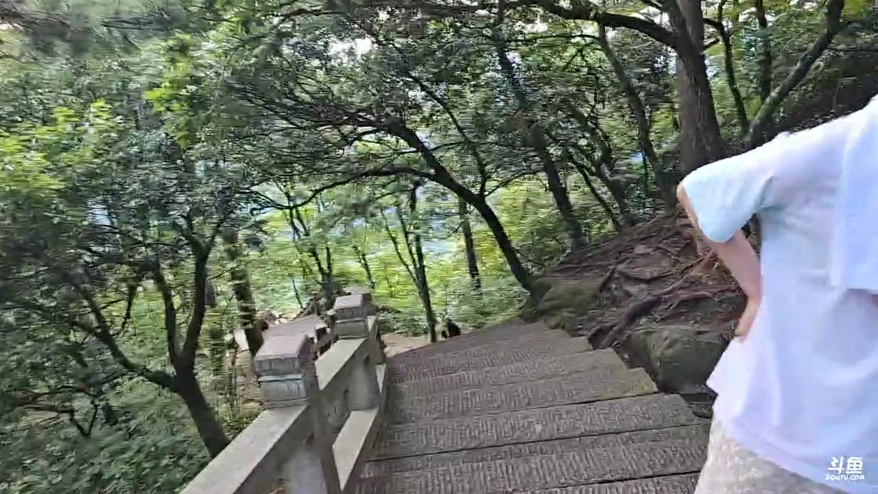 【2023-07-27 17点场】蓝战非OvO：继续军训仓鼠爬九华山～环游第130天