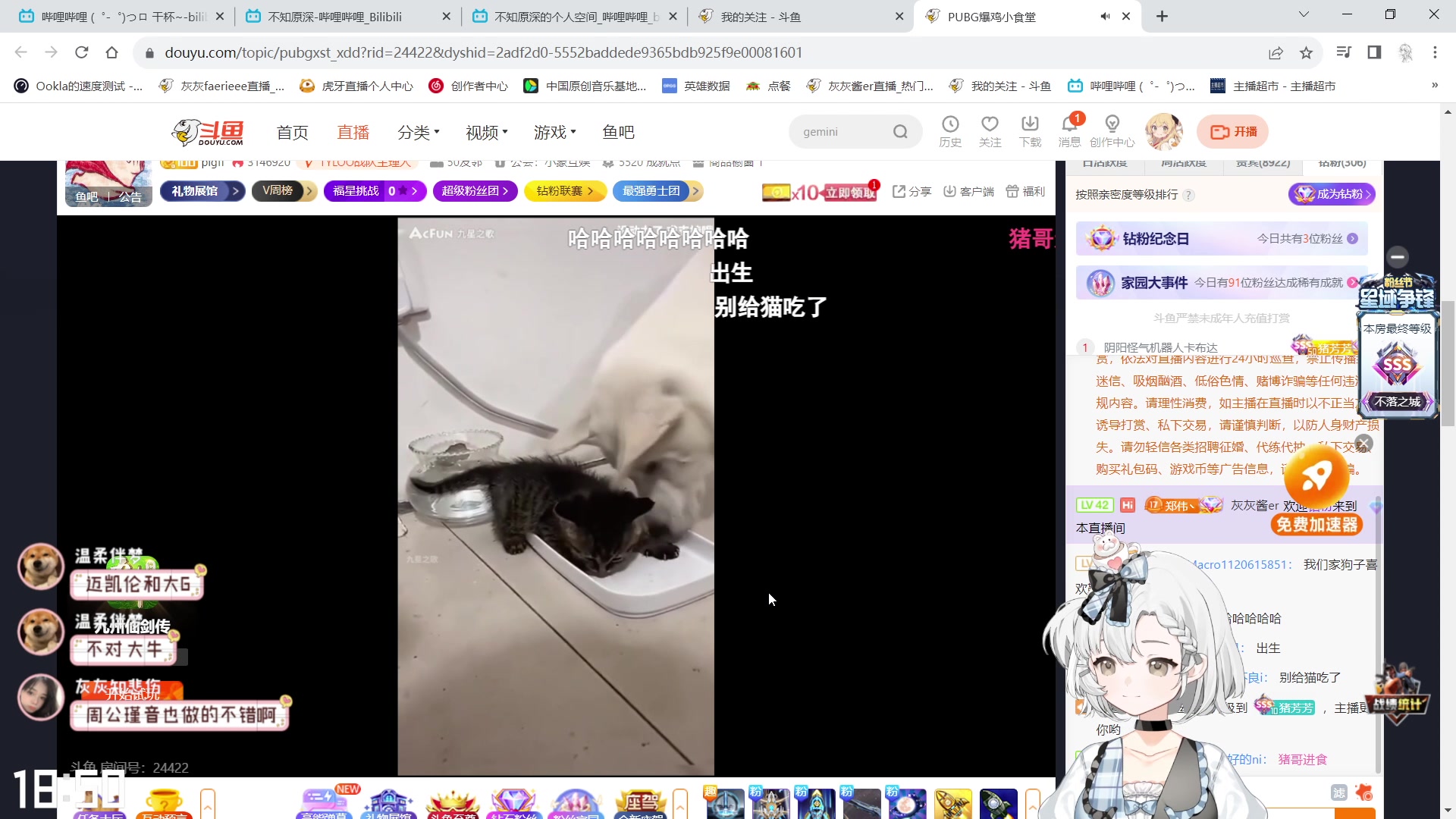 【2023-07-29 18点场】灰灰酱er：灰灰：双倍亲密度