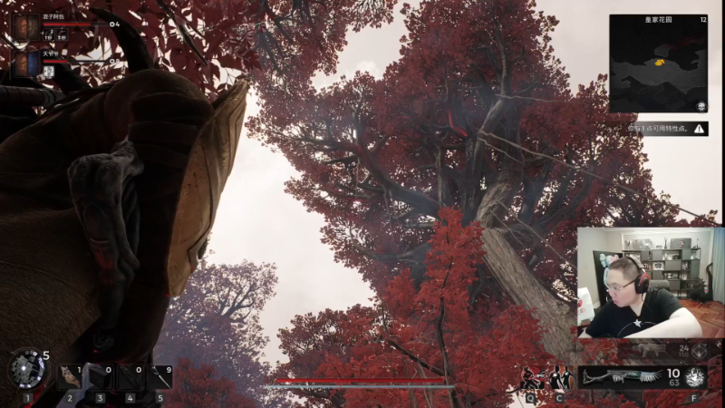 我在斗鱼看即将拥有人鱼线的PDD直播英雄联盟