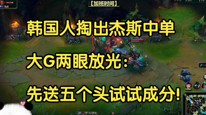 韩国人掏出杰斯中单，大G两眼放光：先送五个头试试成分！