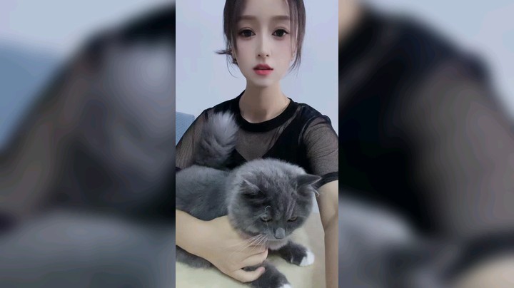 大家好，我叫小乔，这是我家的哈基米