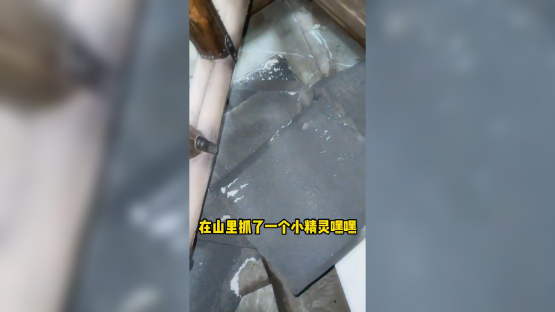 【呆妹】哥哥 喜欢精灵吗