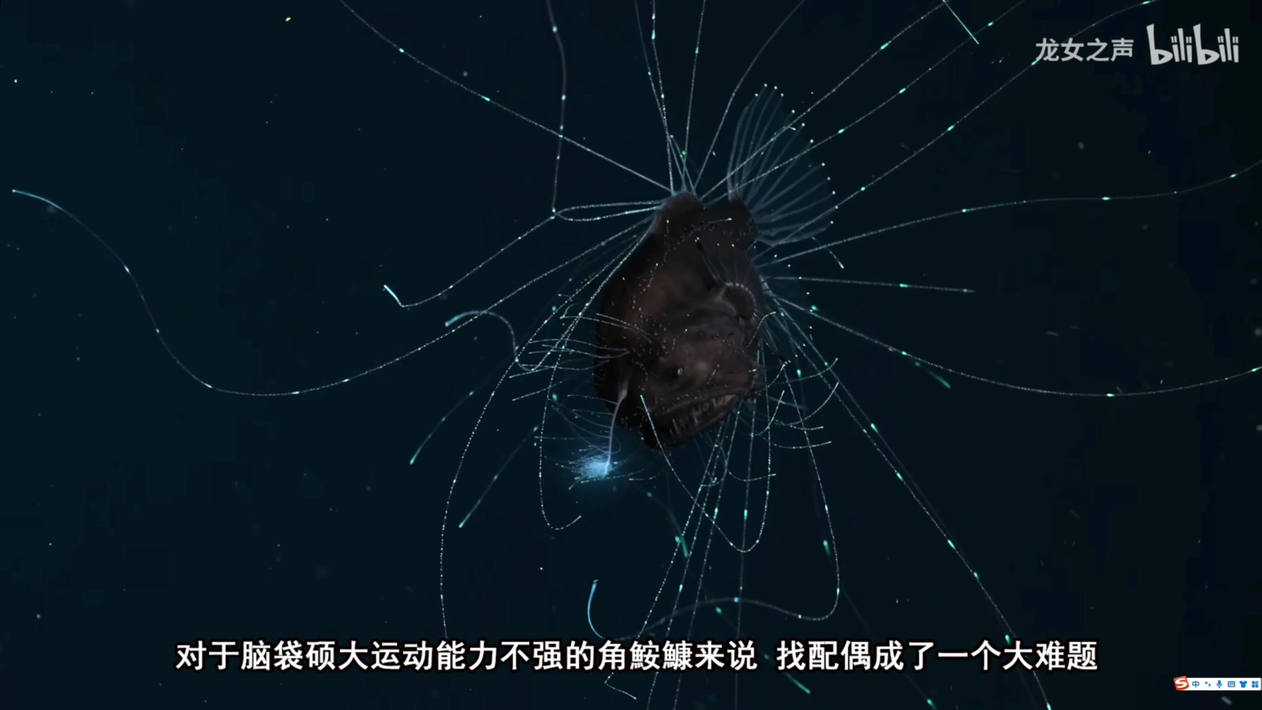 【2023-08-01 01点场】寅子：1日直播。。。