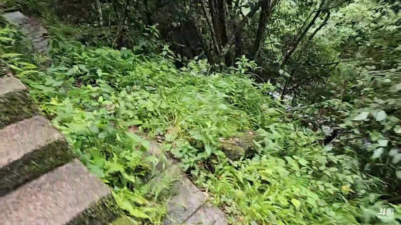 【2023-07-31 13点场】蓝战非OvO：挑战徒步爬黄山～环游第134天