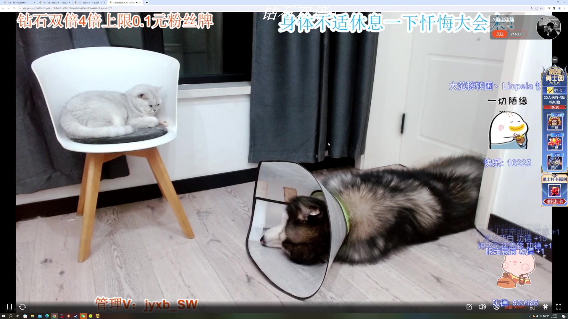 【2023-08-01 22点场】BLUE呀丶：9点玩三伏 然后忏悔大会！