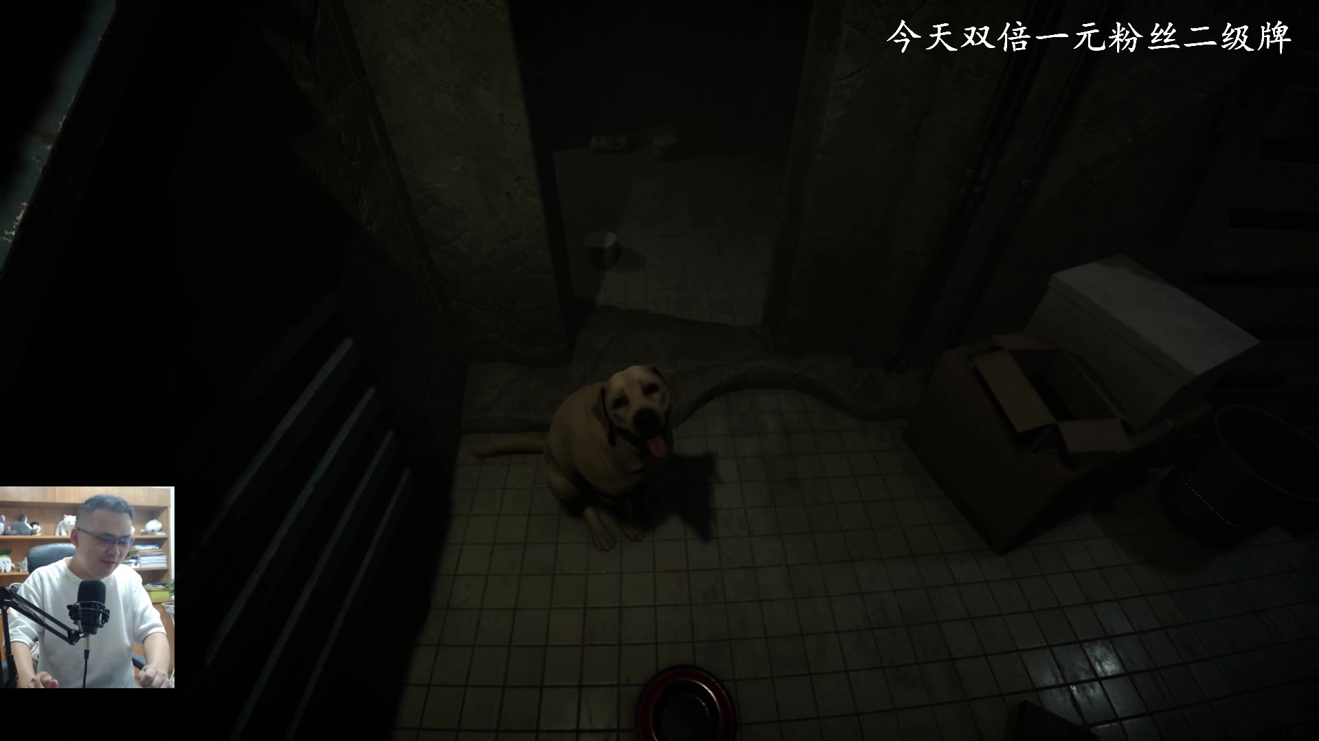 【2023-08-02 21点场】琼斯小卫：国产香港恐怖新作来了-今天双倍