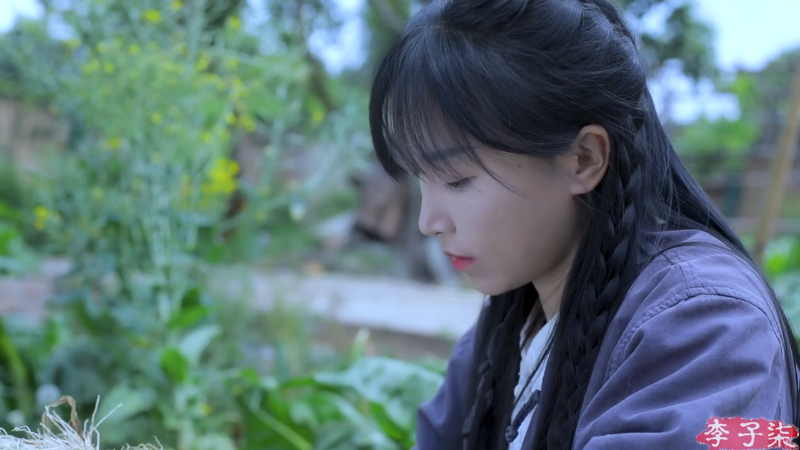 【美食】李子柒liziqi的精彩时刻 20230803 08点场