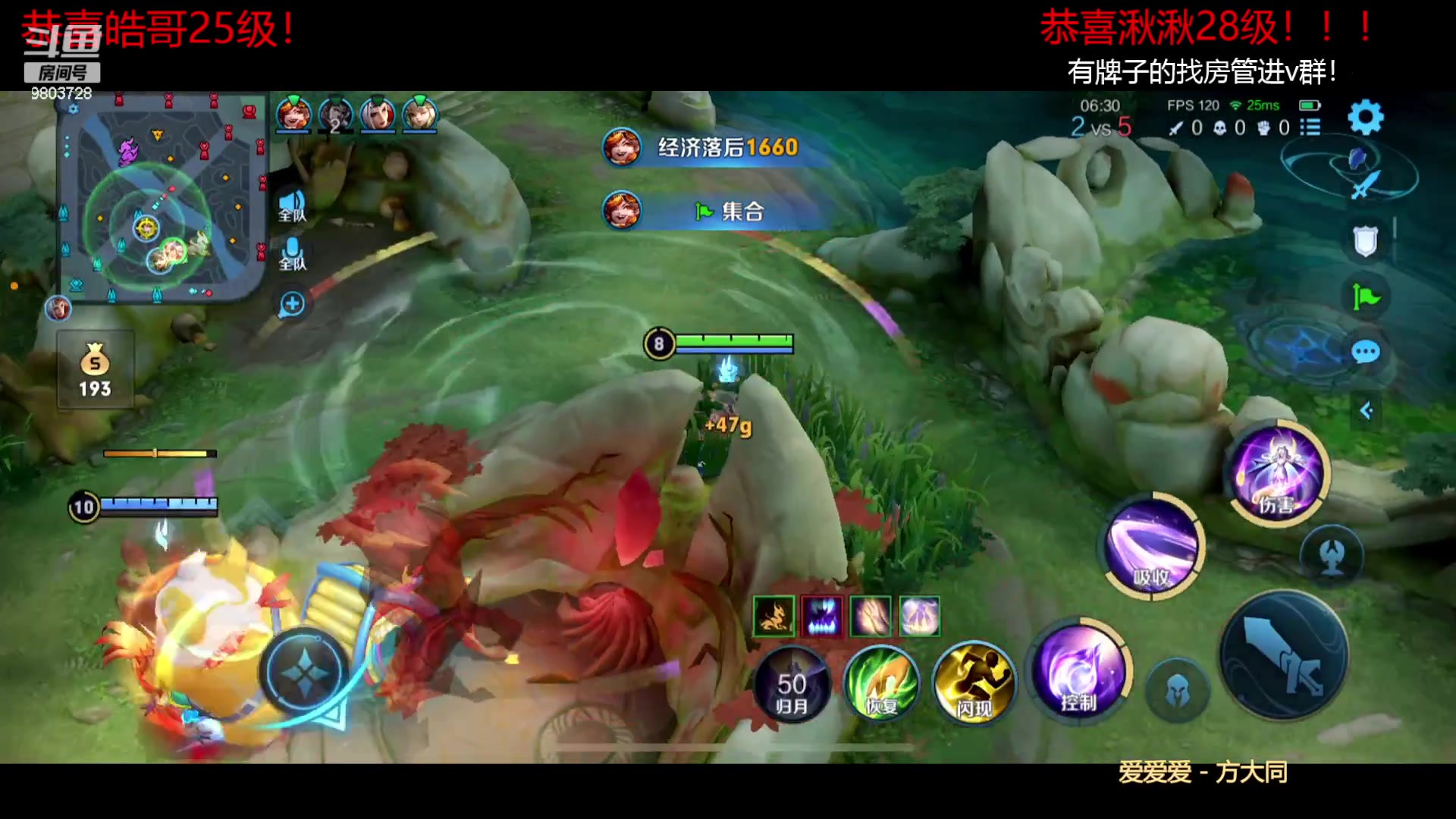 【2023-08-03 18点场】小小娥1：【黄金双倍】小娥老师小课堂开课啦！