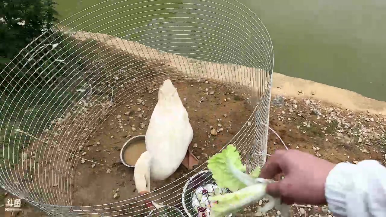 【2023-08-03 12点场】轰轰仔：轰轰：云南Day1 十点半不见不散！