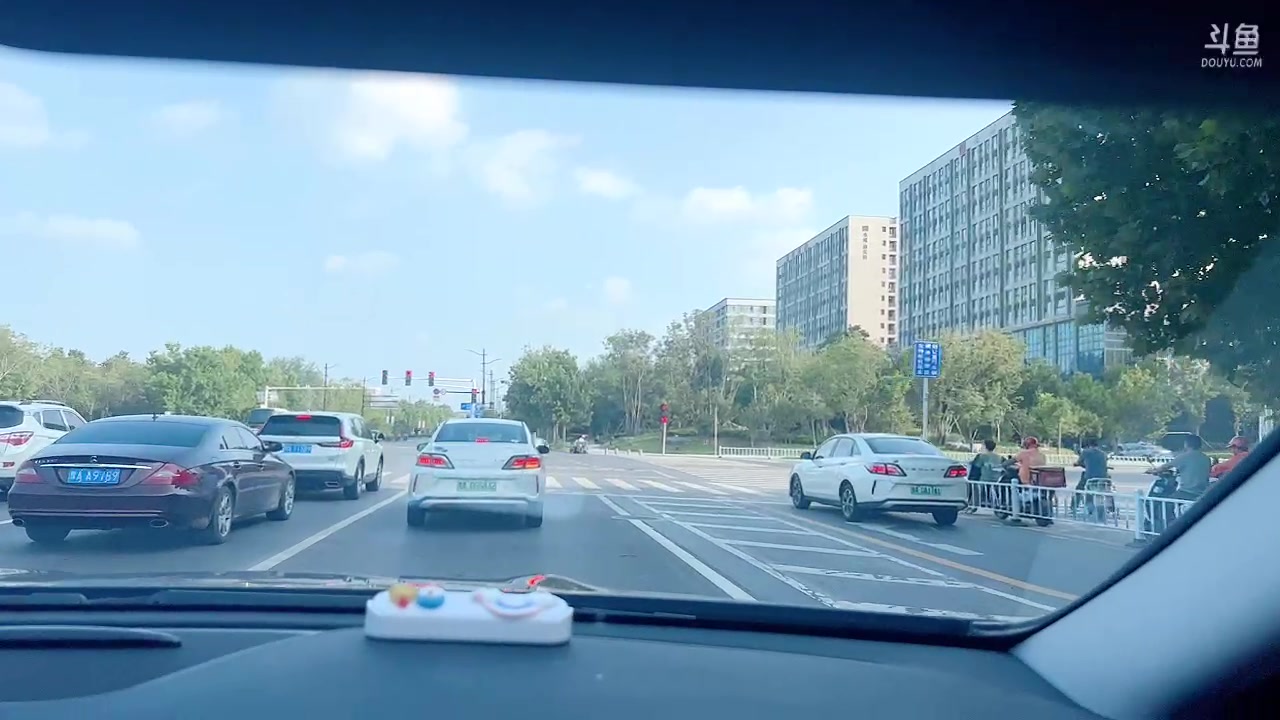 【2023-08-06 16点场】传情小小：养分了……