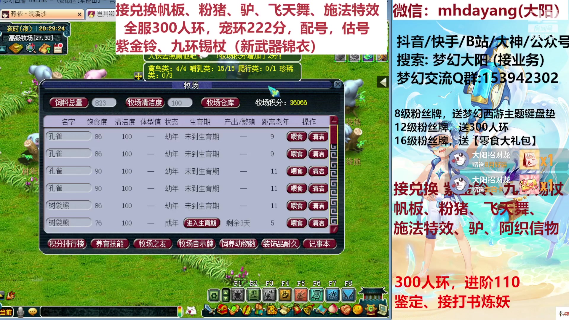 【2023-08-04 19点场】梦幻大阳：帆板，粉猪，驴，飞天舞。施法特效。估配调