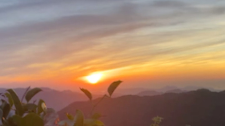 陶可可coco发布了一个斗鱼视频2023-08-06