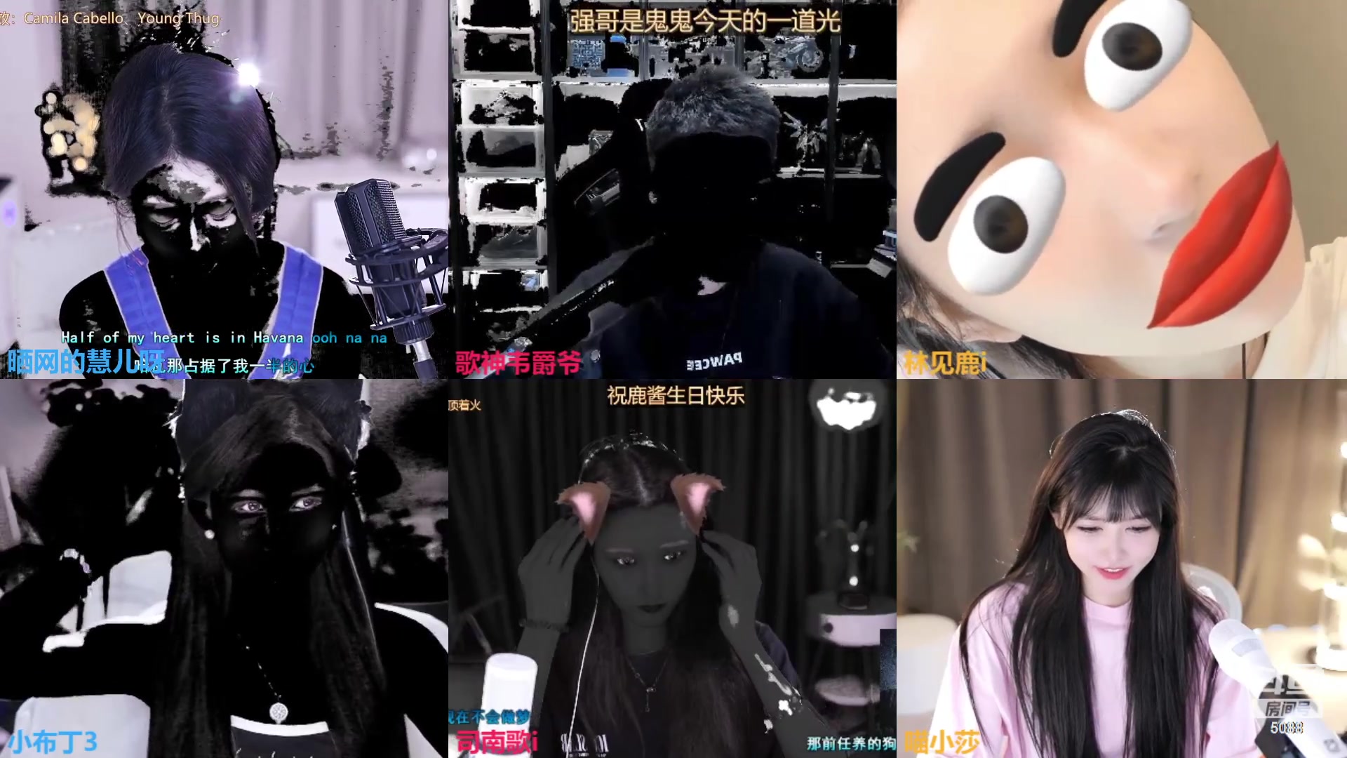 【2023-08-07 15点场】晒网的慧儿呀：小狗周一上班啦~