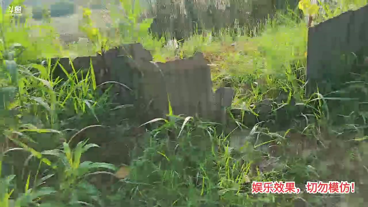 【2023-08-08 16点场】洪湖小肖：洪湖乡野团播day87