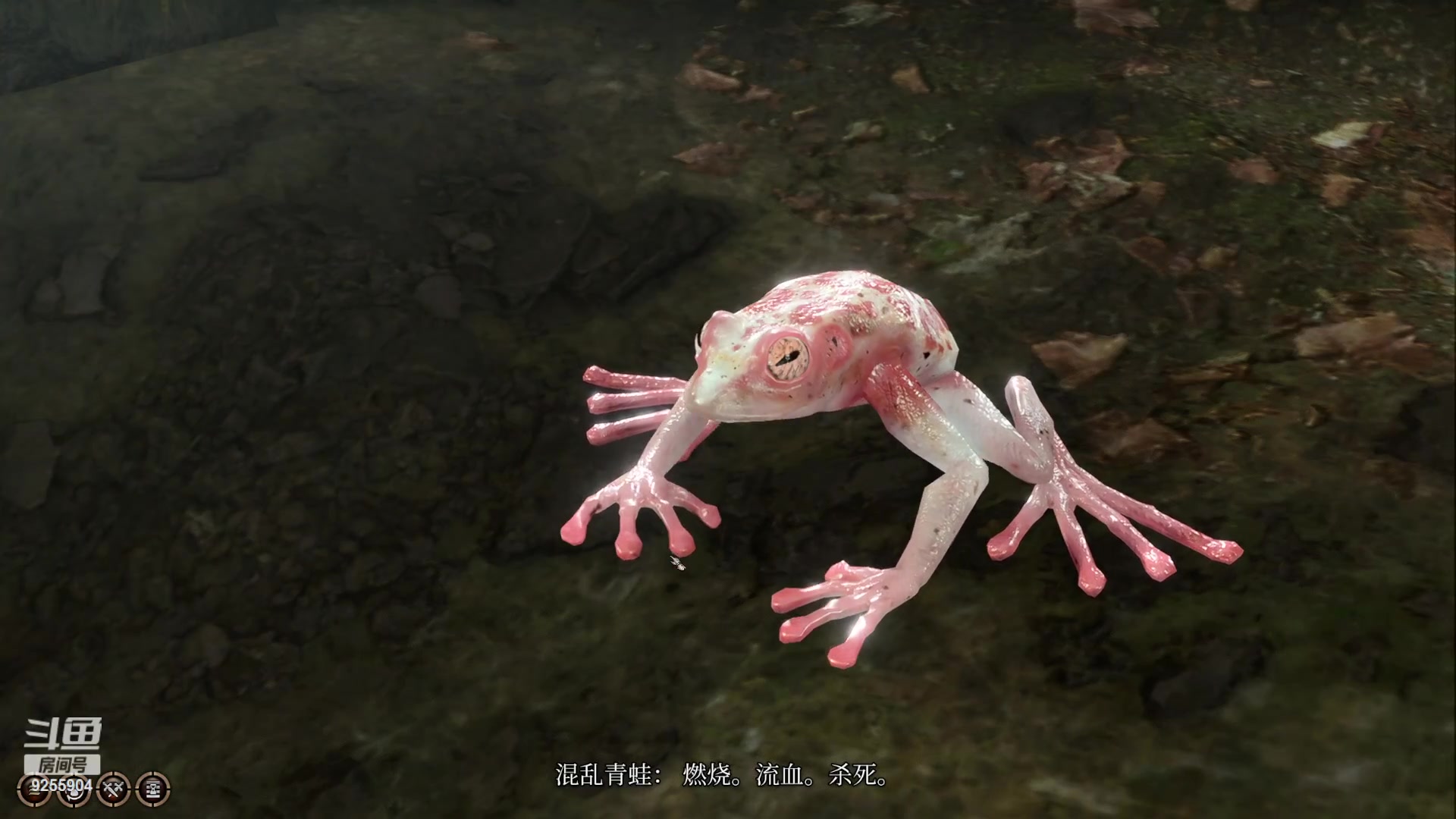 【2023-08-08 02点场】海狗灬：读档之门3zzzzzz