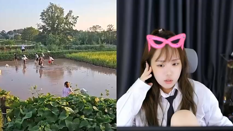 【2023-08-08 19点场】紫琪叻叻猪：紫琪：进来吃饼了！！