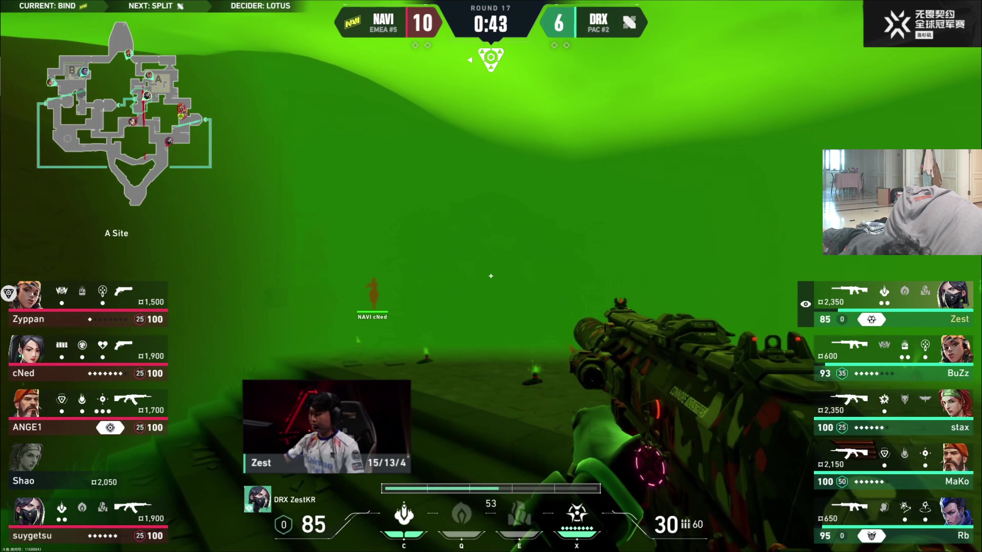 【2023-08-08 07点场】yjjimpaopao：YJJ 跟字母哥看比赛