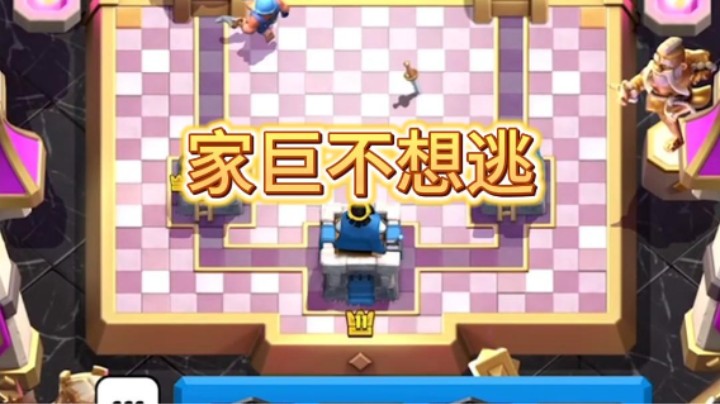 蛮羊：这次我不想逃