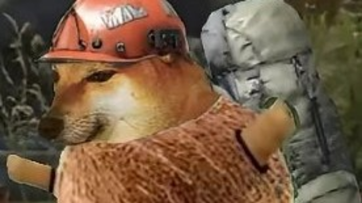 双排