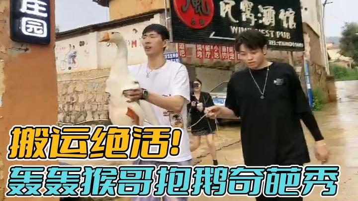 搬运绝活！轰轰猴哥抱鹅奇葩秀