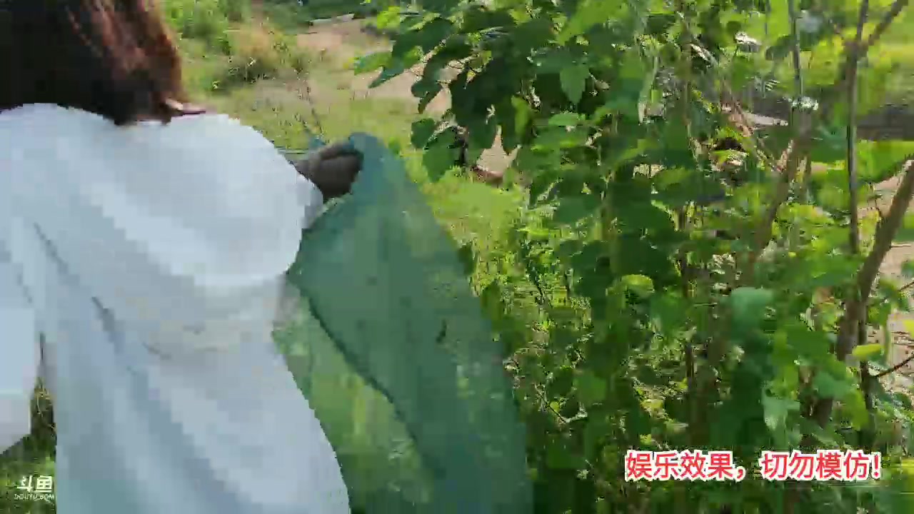 【2023-08-09 16点场】洪湖小肖：洪湖乡野团播day88