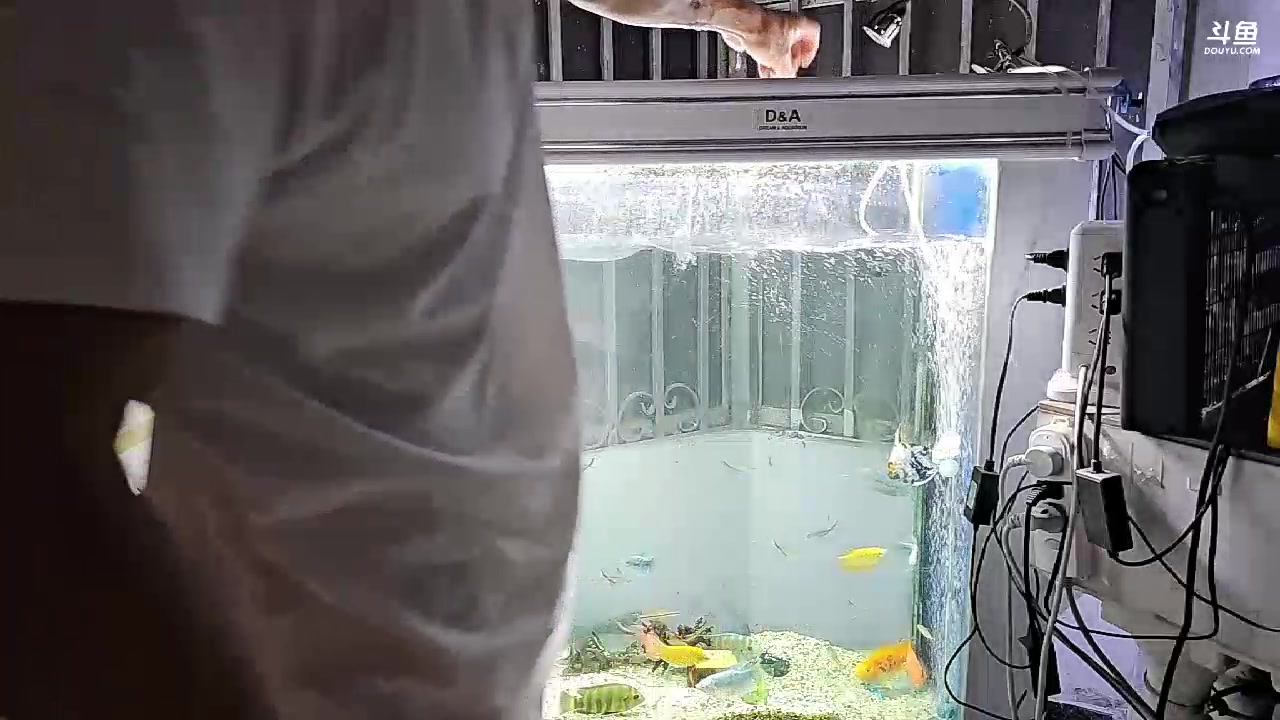 【2023-08-09 00点场】黑人毅：孤寡老人寻求大家关爱