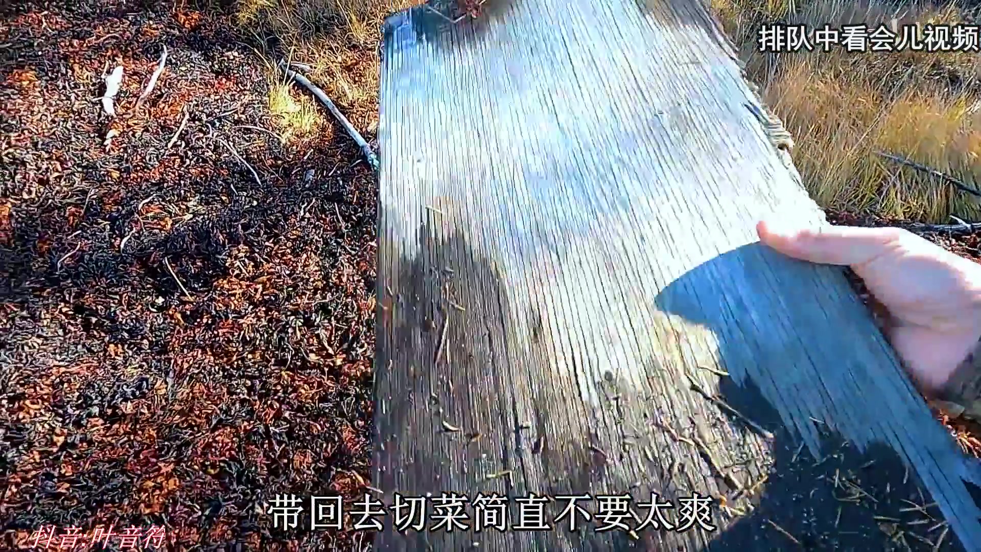 【2023-08-09 00点场】叶音符：叶音符:进来吹空调