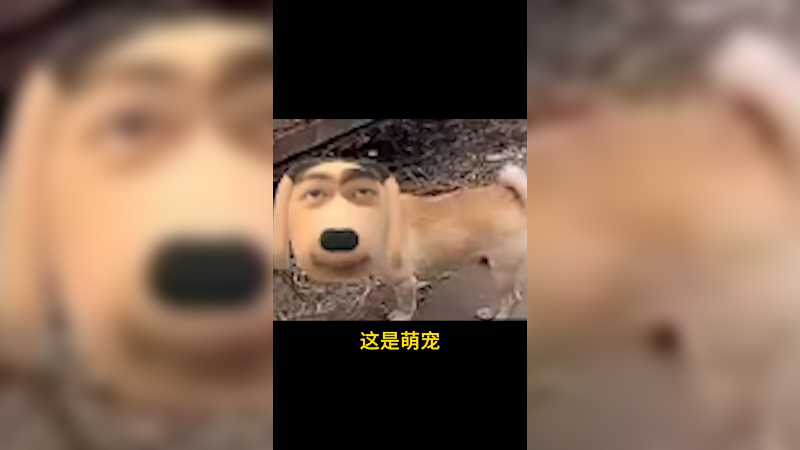 这是otto