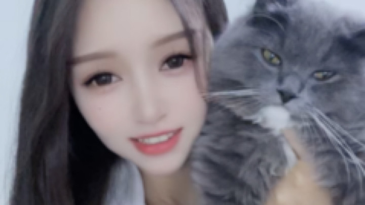 谁家的猫咪这么可爱啊