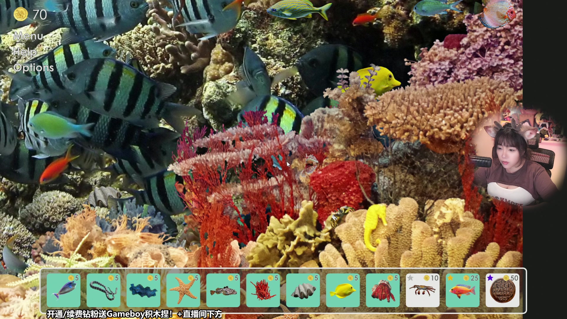 【2023-08-10 13点场】甜心战士：强迫症狂喜！