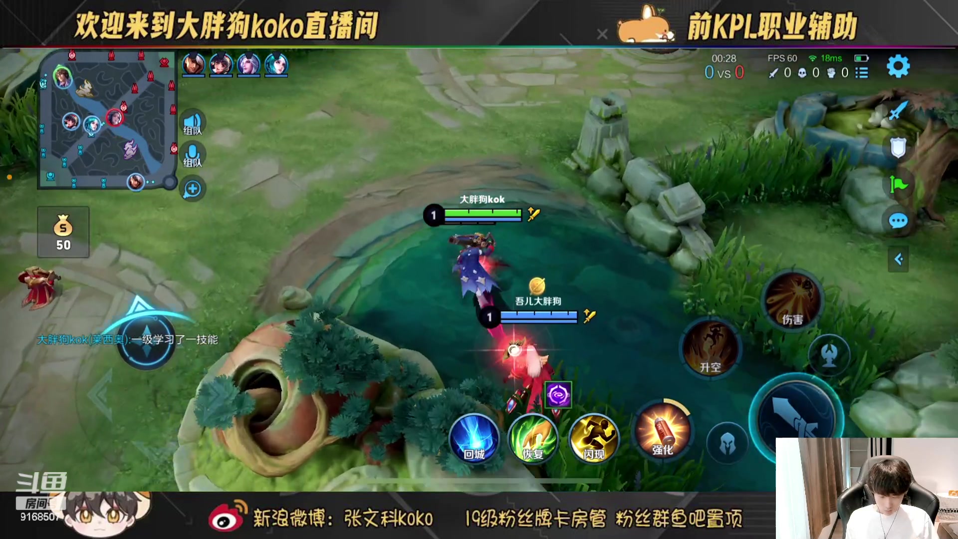 【2023-08-10 16点场】大胖狗koko：带粉主播已上线