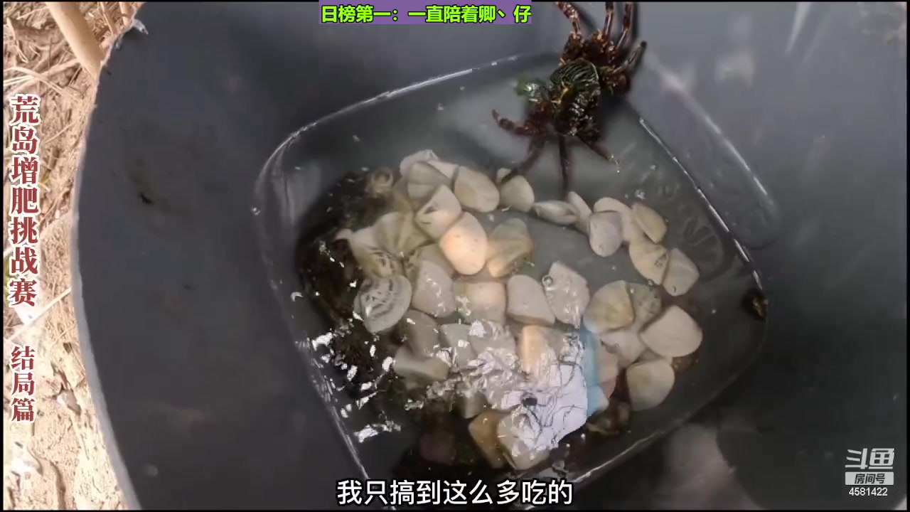 【2023-08-09 22点场】迷人的卿姐姐i：欢乐的时光开始啦！